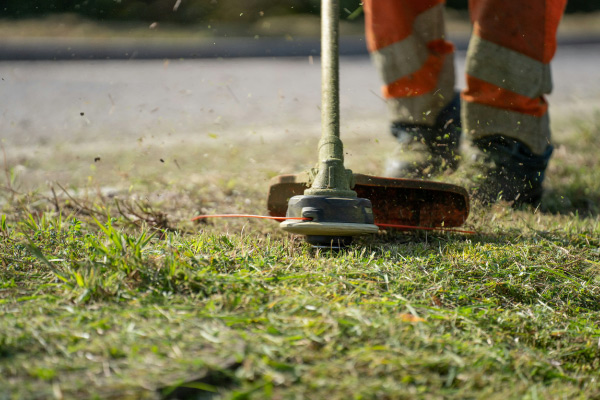 Cocksure-grass-cutting